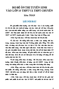 Các đề ôn thi tuyển sinh vào Lớp 10 THPT và THPT chuyên môn Toán