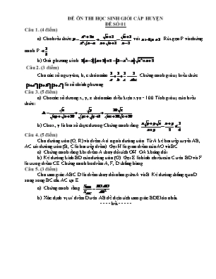 Đề ôn thi học sinh giỏi cấp huyện môn Toán Lớp 9 - Đề số 01