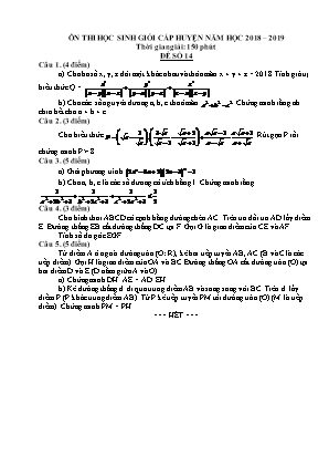 Đề ôn thi học sinh giỏi cấp huyện môn Toán Lớp 9 - Đề số 14 - Năm học 2018-2019