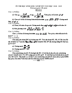 Đề ôn thi học sinh giỏi cấp huyện môn Toán Lớp 9 - Đề số 5 - Năm học 2018-2019