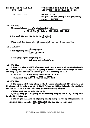 Đề thi chọn học sinh giỏi cấp tỉnh môn Toán Lớp 9 - Năm học 2018-2019 - Sở giáo dục và đào tạo Bình Định (Có đáp án)