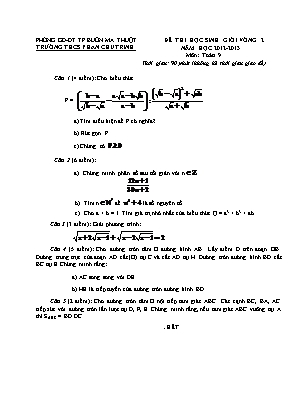 Đề thi chọn học sinh giỏi vòng 2 môn Toán Lớp 9 - Năm học 2012-2013 - Trường THCS Phan Chu Trinh (Có đáp án)