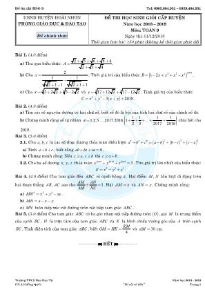 Đề thi học sinh giỏi cấp huyện môn Toán Lớp 9 - Năm học 2018-2019 - Phòng GD & ĐT Hoài Nhơn (Có đáp án)