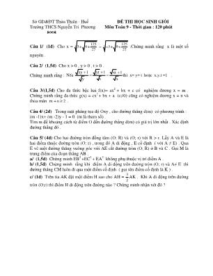 Đề thi học sinh giỏi môn Toán Lớp 9 - Trường THCS Nguyễn Tri Phương (Có đáp án