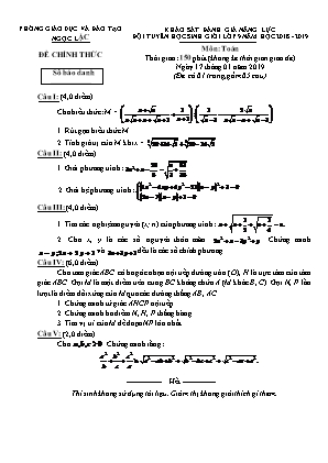Đề thi khảo sát đánh giá năng lực đội tuyển học sinh giỏi môn Toán Lớp 9 - Năm học 2018-2019 - Phòng giáo dục và đào tạo Ngọc Lặc (Có đáp án)