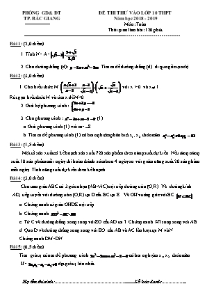 Đề thi thử vào Lớp 10 THPT môn Toán - Năm học 2018-2019 - Phòng giáo dục và đào tạo Bắc Giang (Có đáp án)