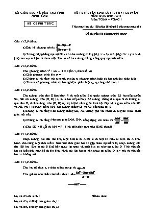 Đề thi tuyển sinh Lớp 10 THPT chuyên môn Toán vòng I - Năm học 2010-2011 - Sở giáo dục và đào tạo Ninh Bình