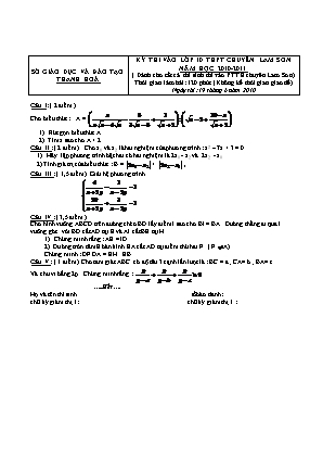 Đề thi tuyển sinh vào Lớp 10 chuyên Lam Sơn môn Toán - Năm học 2010-2011 - Sở giáo dục và đào tạo Thanh Hóa (Có đáp án)