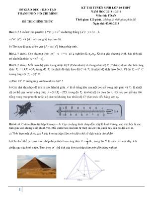 Đề thi tuyển sinh vào Lớp 10 THPT môn Toán - Năm học 2018-2019 - Sở giáo dục và đào tạo TP. Hồ Chí Minh (Có đáp án)