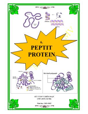 Hóa học 12 - Chủ đề 6: Protein