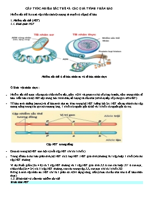 Sinh học 12 - Cấu trúc nhiễm sắc thể và các quá trình phân bào