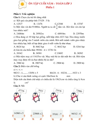 Ôn tập cuối năm Toán Lớp 3 - Phiếu 1
